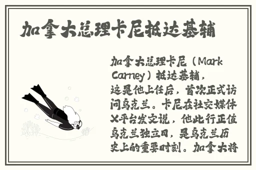 国内精品自线一区二区三区